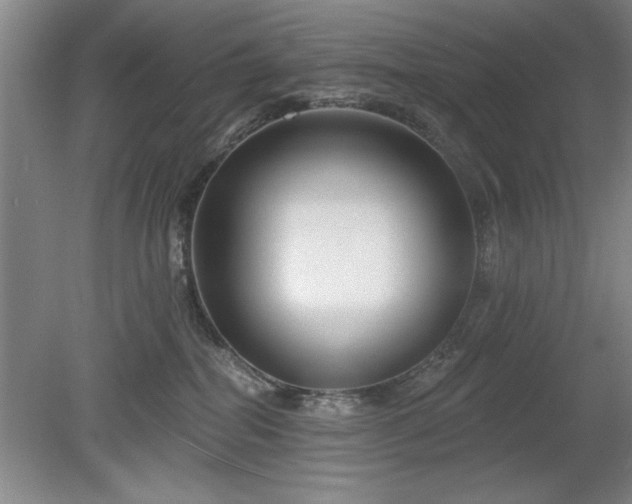 X0000078870282200611131225