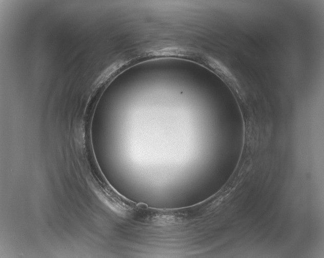X0000078870298200611131224