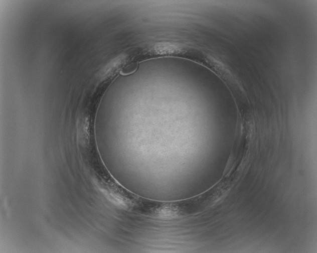X0000078870308200611131224