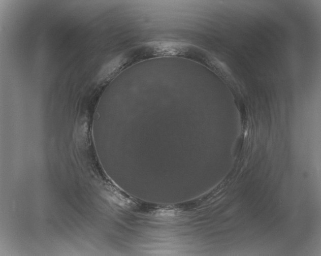 X0000078870314200611131224