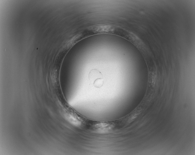 X0000078870326200611131223