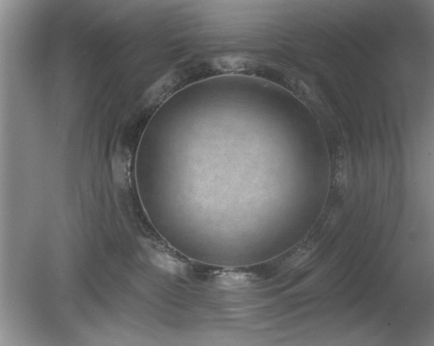 X0000078870332200611131223