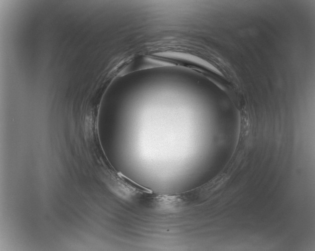 X0000078870333200611131223