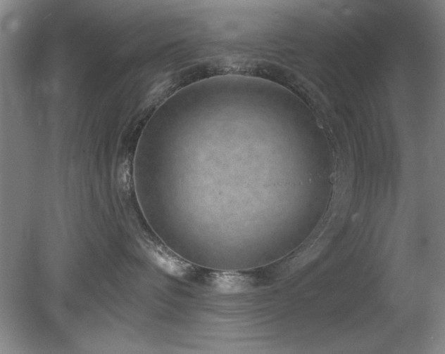X0000078870336200611131223