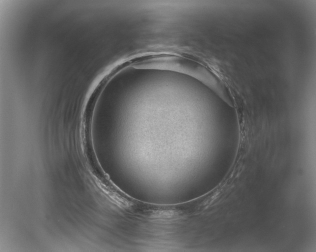 X0000078870342200611131222