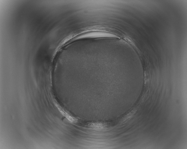X0000078870349200611131223