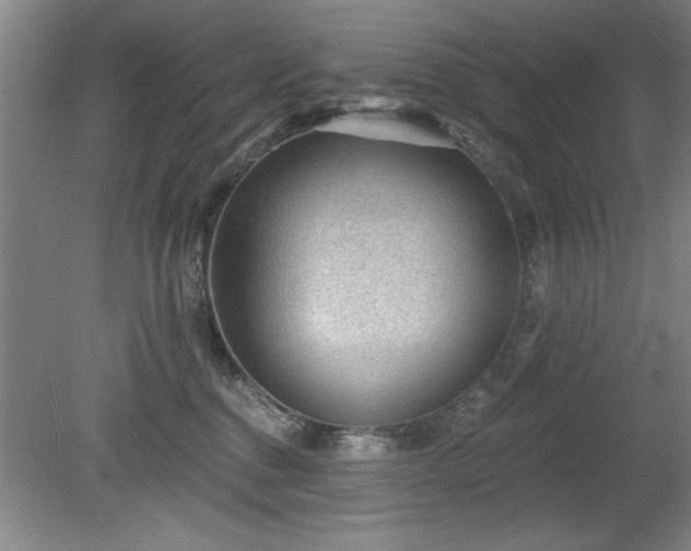 X0000078870376200611131223