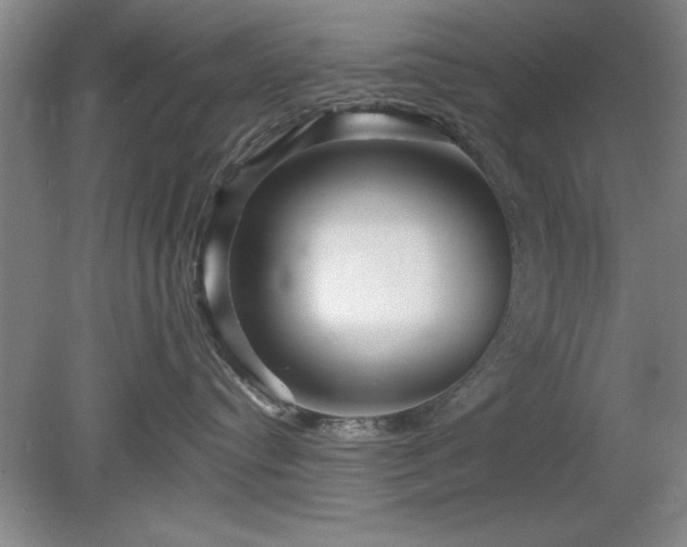 X0000078870384200611131223