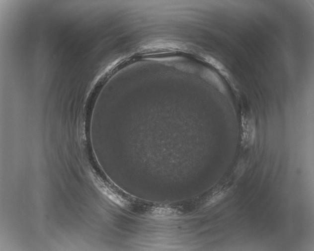 X0000078870399200611131222