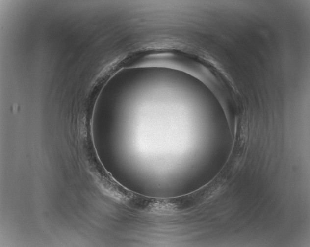 X0000078870403200611131222