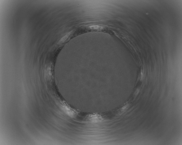 X0000078870424200611131222