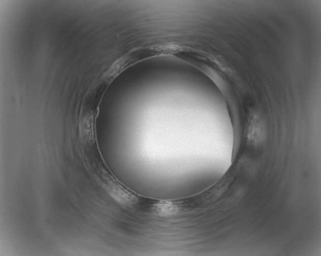 X0000078870425200611131222
