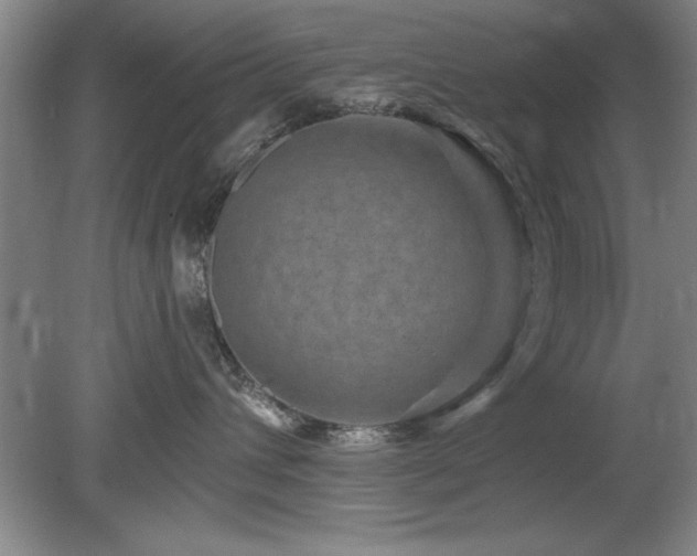X0000078870432200611131222