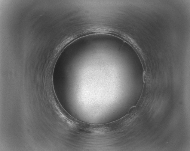 X0000078870433200611131221