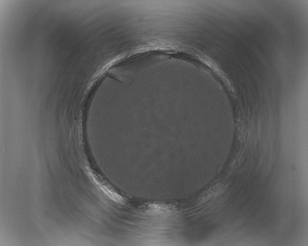 X0000078870442200611131221