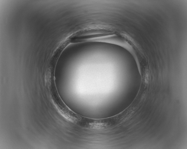 X0000078870448200611131221