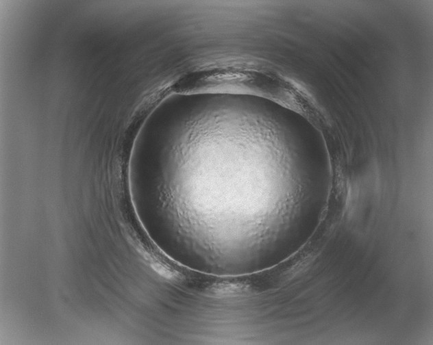 X0000078870453200611131221