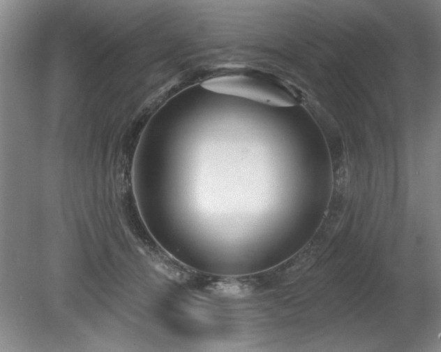X0000078870464200611131221