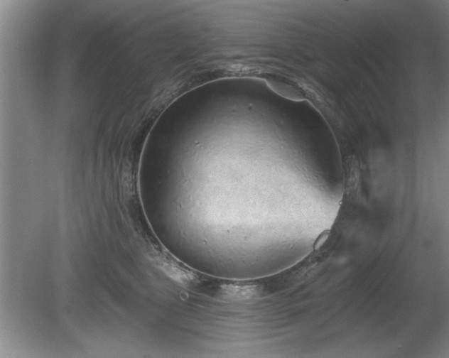 X0000078870469200611131221