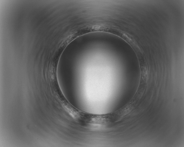 X0000078870470200611131221