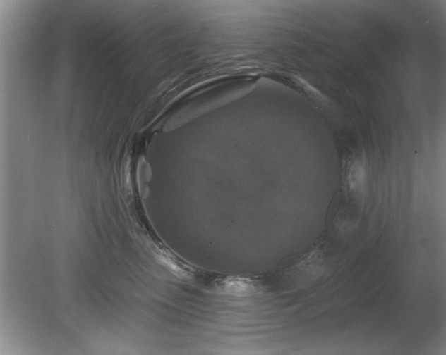 X0000078870475200611131221