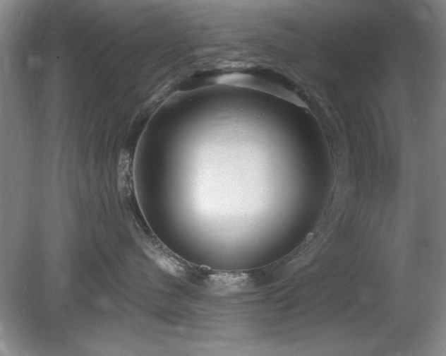 X0000078870480200611131222