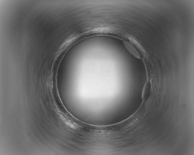 X0000078870486200611131221