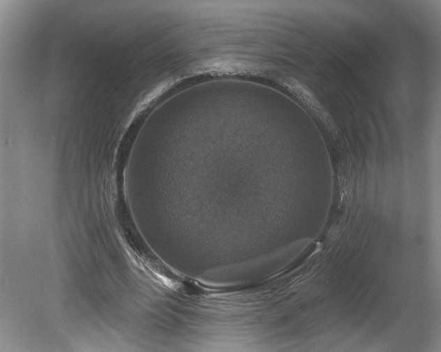 X0000078870488200611131221