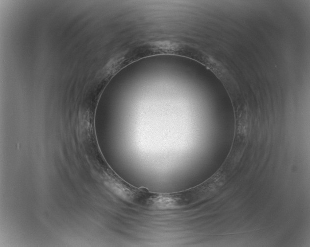 X0000078870518200611131220