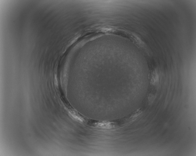 X0000078870524200611131220