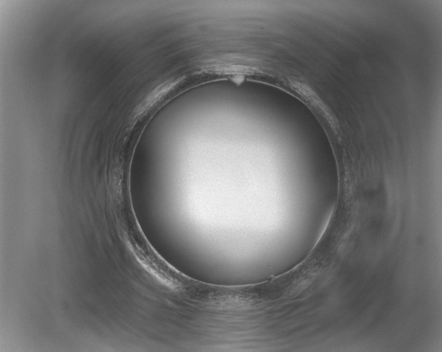 X0000078870533200611131219