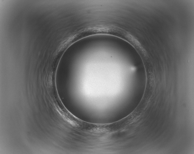 X0000078870537200611131219