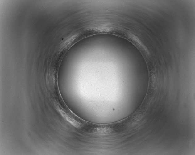 X0000078870541200611131219