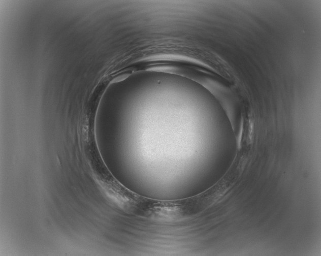 X0000078870552200611131220