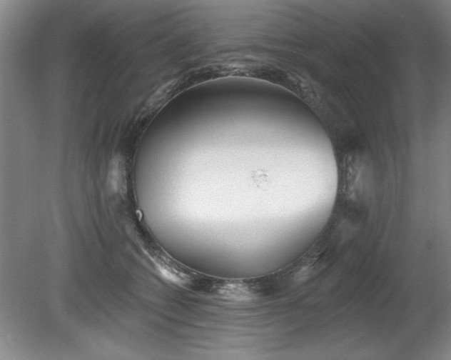 X0000078870562200611131220