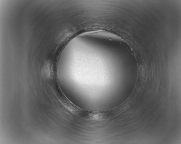 X0000078870564200611131220