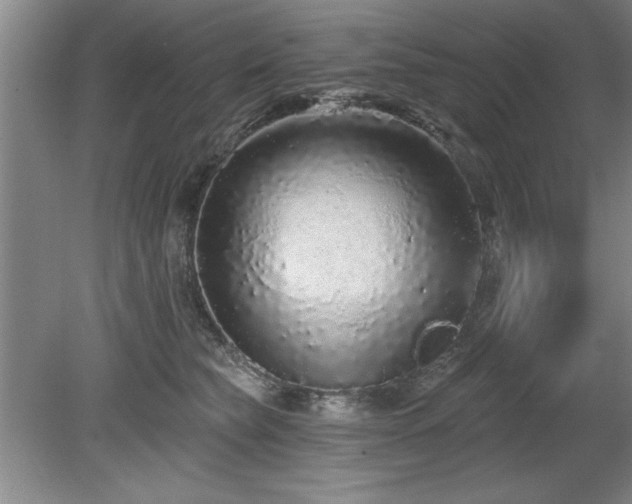 X0000078870565200611131220