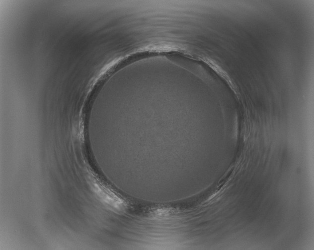 X0000078870584200611131219