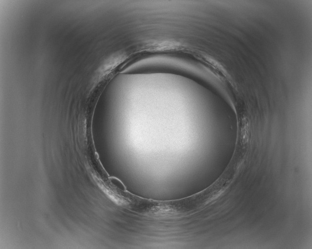 X0000078870589200611131219
