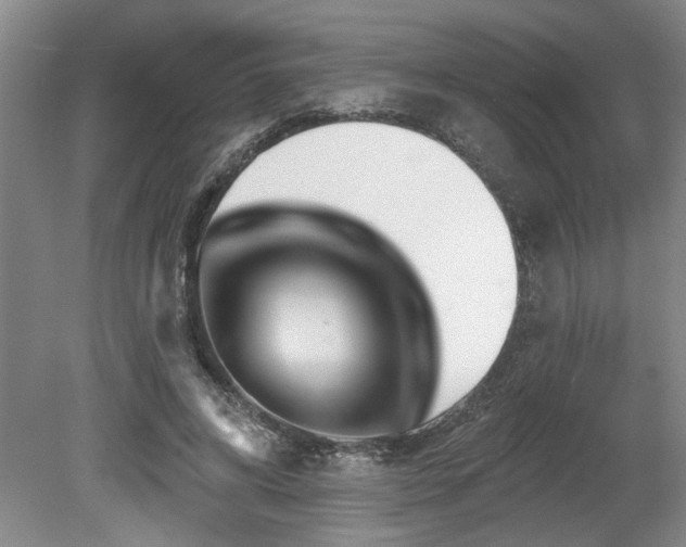 X0000078870592200611131219