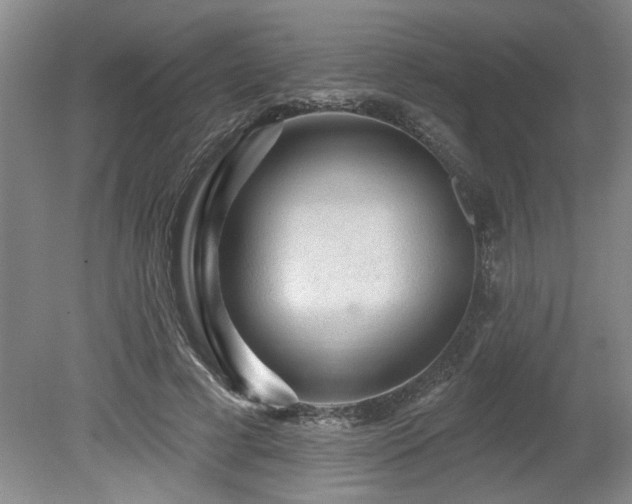 X0000078870593200611131219