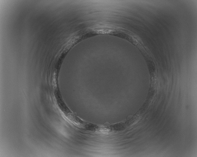 X0000078870598200611131219