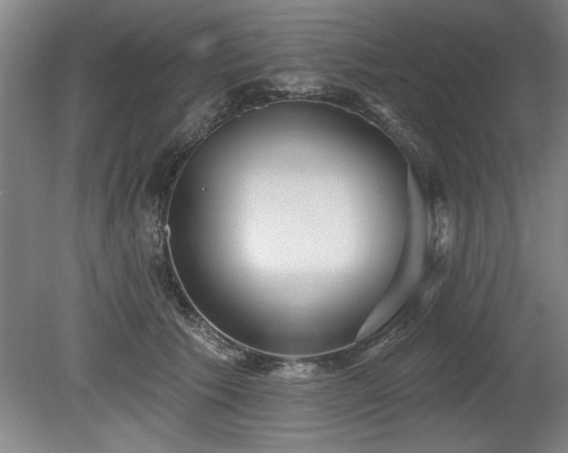 X0000078870609200611131219