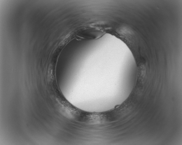 X0000078870615200611131218