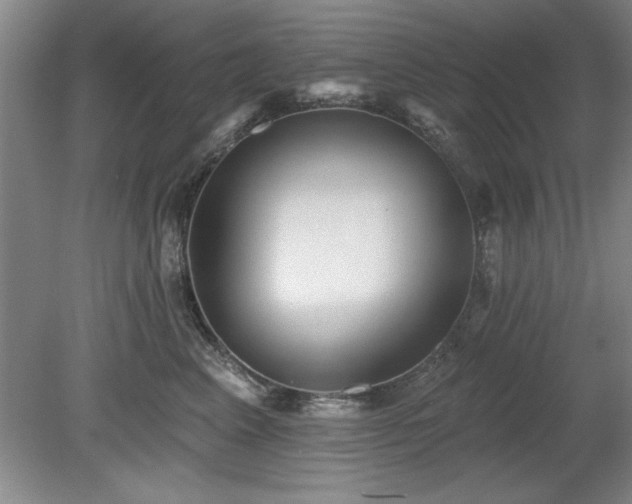 X0000078870617200611131218