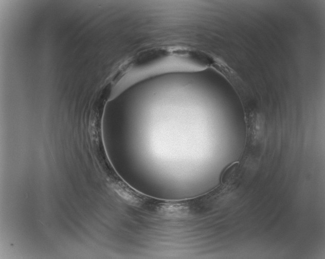 X0000078870619200611131218