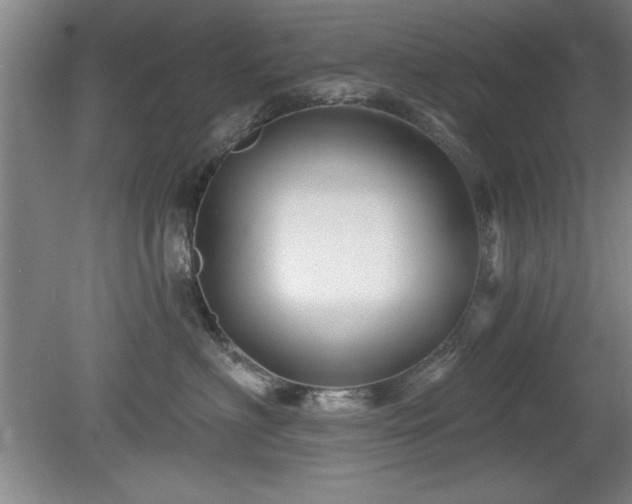X0000078870622200611131218