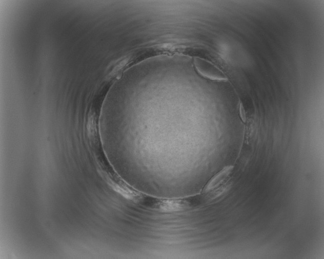 X0000078870623200611131218