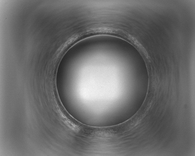 X0000078870625200611131218