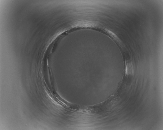 X0000078870627200611131218